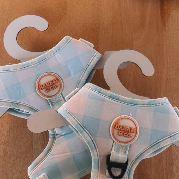 Bluey Harness