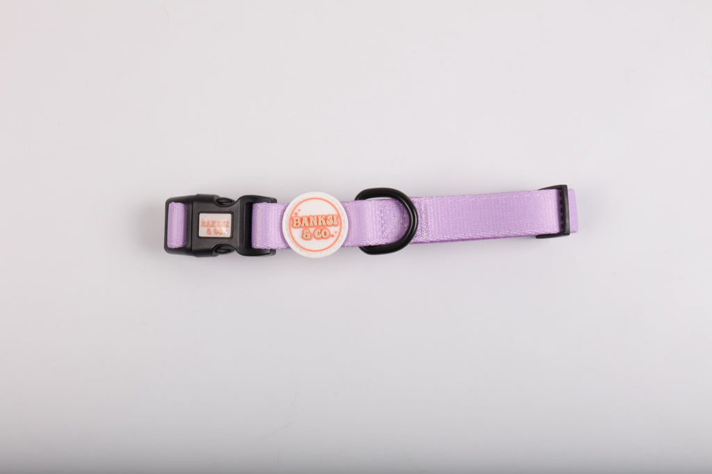 Purple: Collar