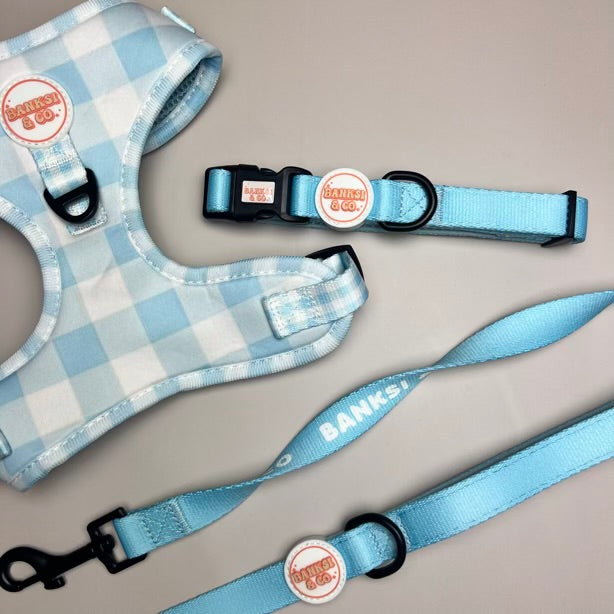 Bluey Harness