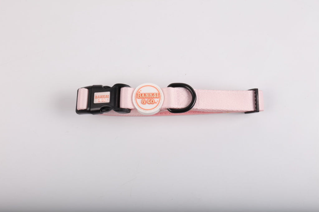 Pink: Collar