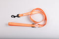 Orange: Leash