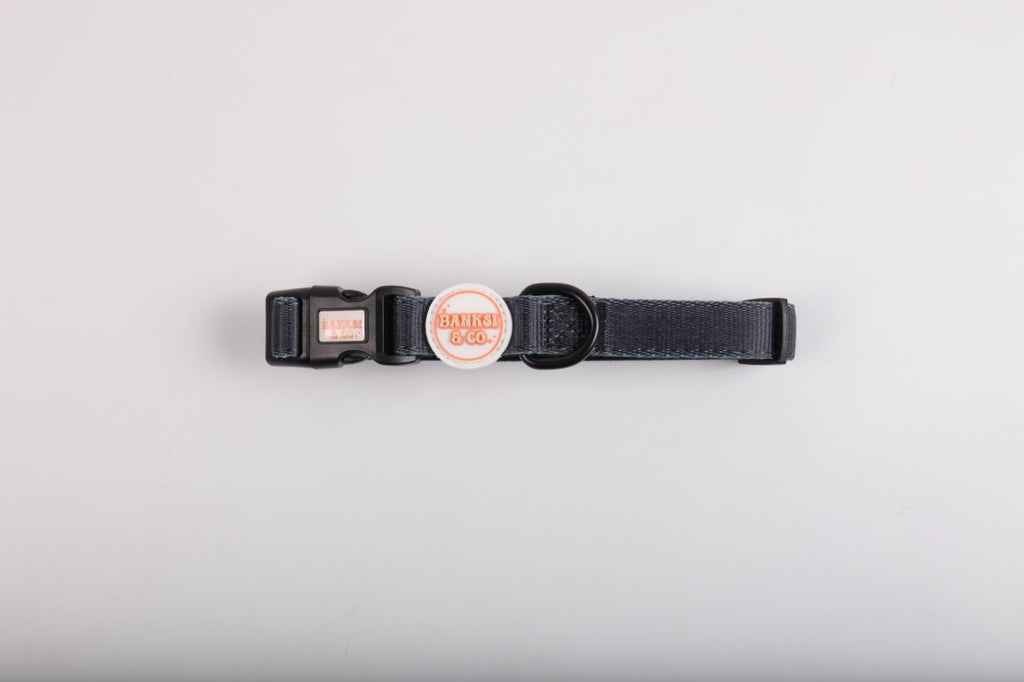 Black: Collar