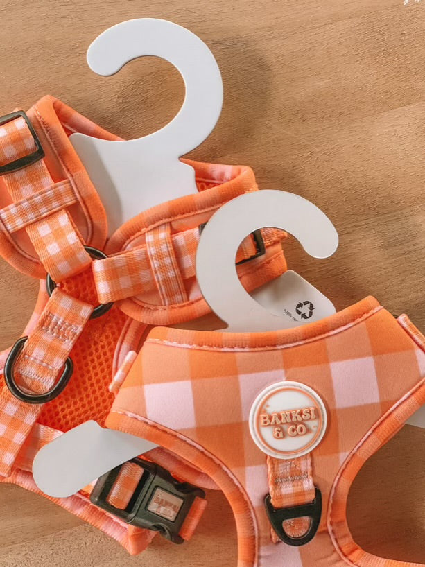 Fruit Tingle Harness