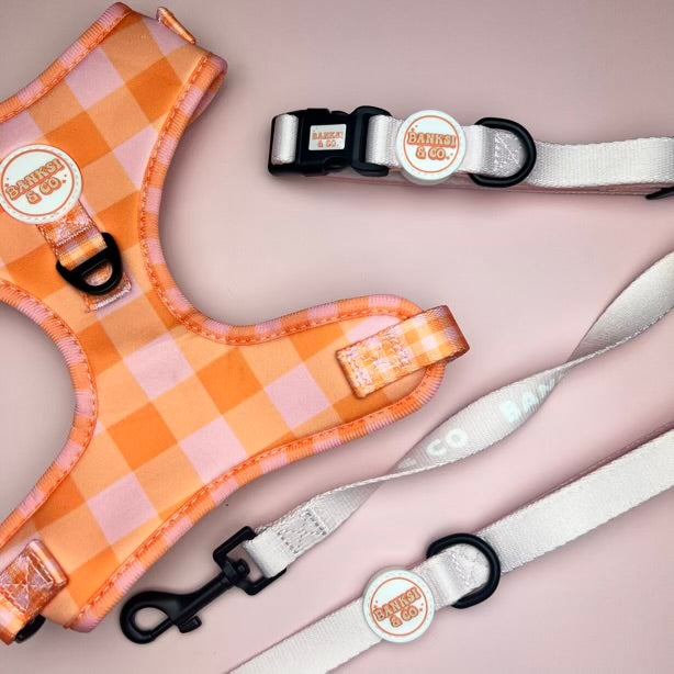 Fruit Tingle Harness