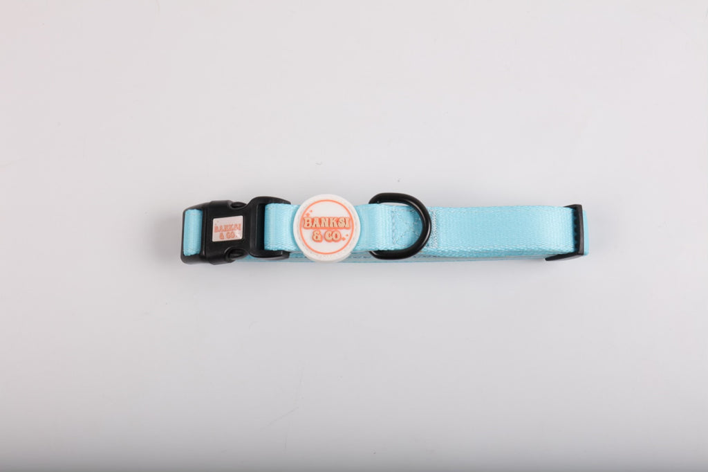 Blue: Collar