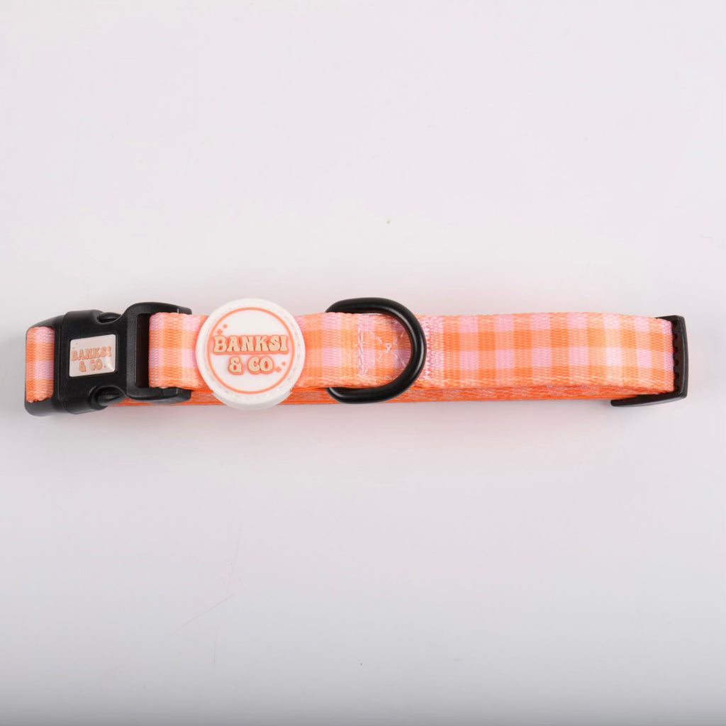 Fruit Tingle: Collar