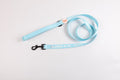 Blue: Leash