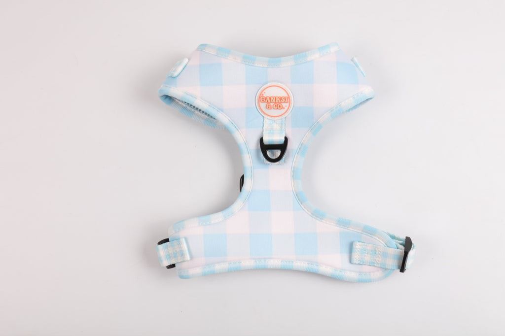 Bluey Harness