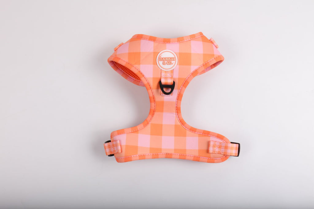 Fruit Tingle Harness