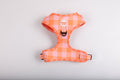 Fruit Tingle Harness
